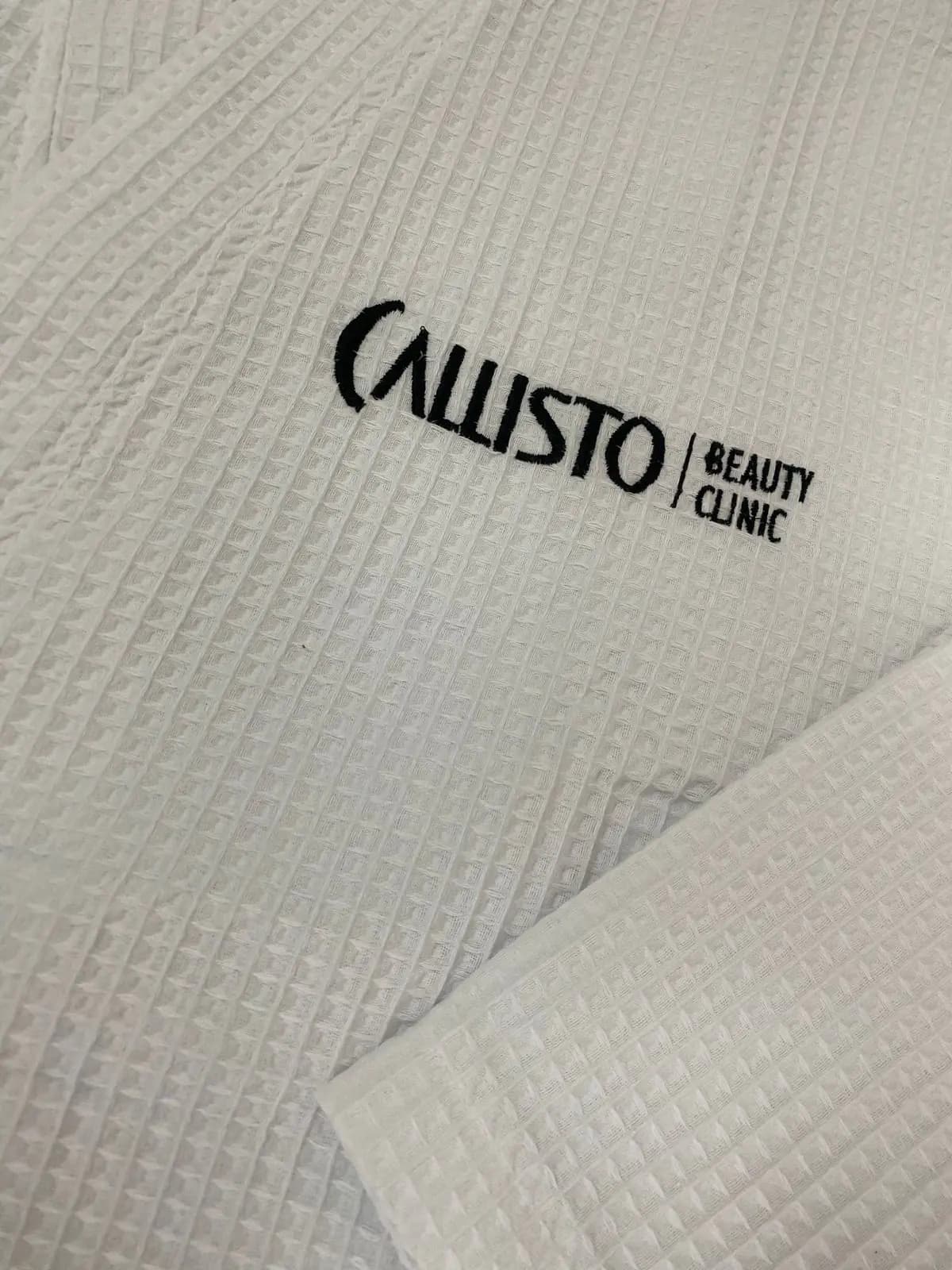 Callisto - фото 2